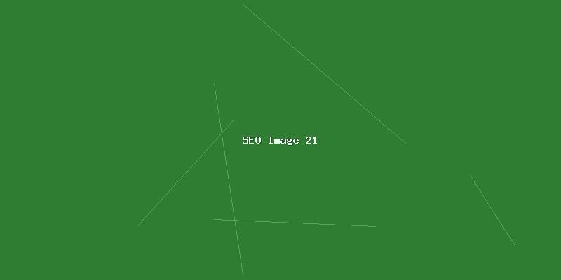 SEO流量
