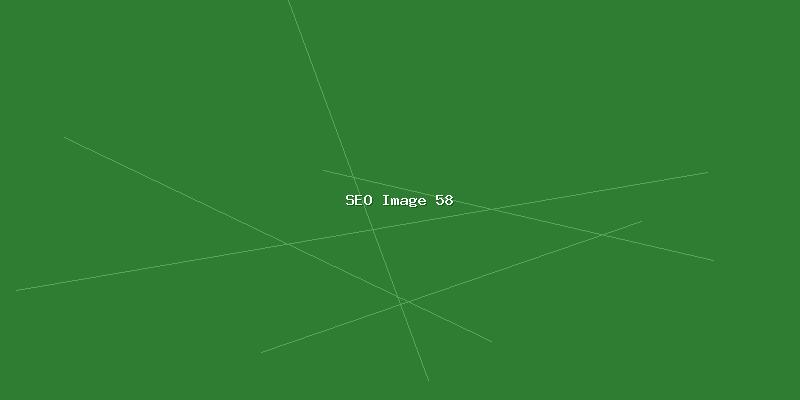 SEO流量