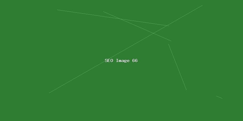 网站SEO排名