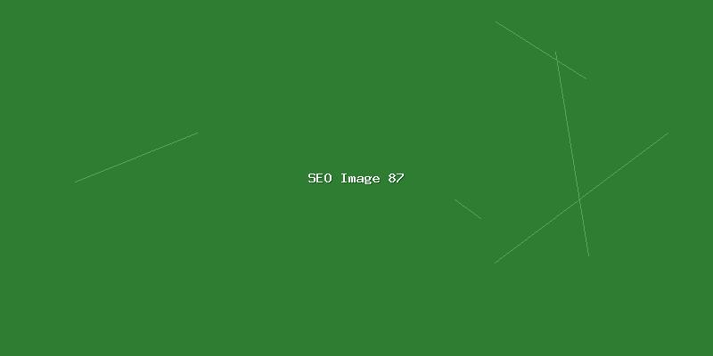 SEO流量