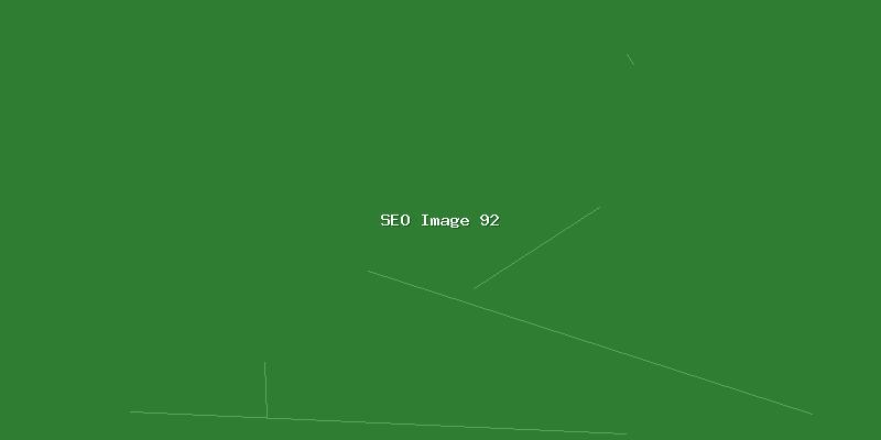 SEO流量