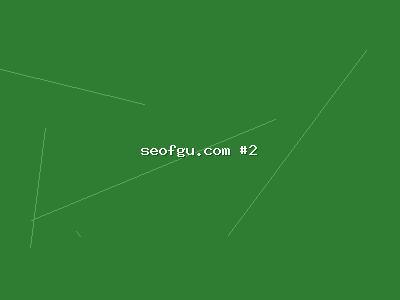从零开始学习网站SEO排名：精准流量全面指南