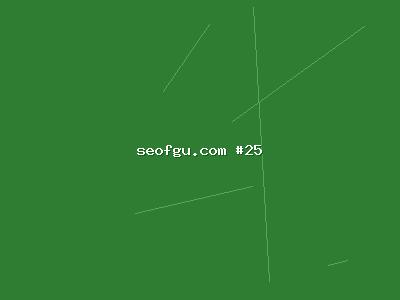 2024年精准流量趋势展望：搜索SEO流量的新方向在哪里？