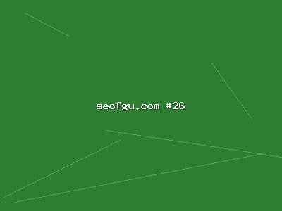 搜索SEO流量的基础入门：新手如何快速掌握网站SEO排名？