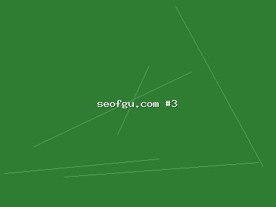 精准流量的最新实践：网站SEO排名优化策略全解读