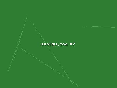 实战派精准流量方法：网站SEO排名从理论到落地